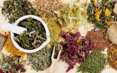 Folk remedies for the treatment of varicose veins