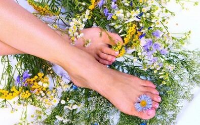 How to treat varicose veins on the legs